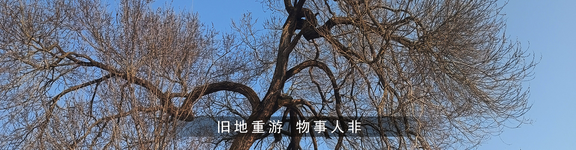 旧地重游物事人非